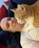 Homme à chat demandé sur Villeurbanne 69